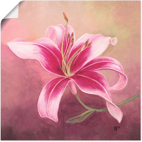 4055327269797 - Wandbild ARTLAND Frühe Lilie Bilder Gr B H 70 cm x 70 cm Poster Blumen 1 St lila Kunstdrucke als Alubild Leinwandbild Wandaufkleber oder Poster in versch Größen 4055327269797 - Wandbild ARTLAND Frühe Lilie Bilder Gr B H 70 cm x 70 cm Poster Blumen 1 St lila Kunstdrucke als Alubild Leinwandbild Wandaufkleber oder Poster in versch Größen