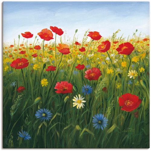 4055327223706 - Wandbild ARTLAND Mohnblumen Landschaft I Bilder Gr B H 40 cm x 40 cm Leinwandbild Blumenwiese quadratisch 1 St grün Kunstdrucke als Alubild Leinwandbild Wandaufkleber oder Poster in versch Größen 4055327223706 - Wandbild ARTLAND Mohnblumen Landschaft I Bilder Gr B H 40 cm x 40 cm Leinwandbild Blumenwiese quadratisch 1 St grün Kunstdrucke als Alubild Leinwandbild Wandaufkleber oder Poster in versch Größen