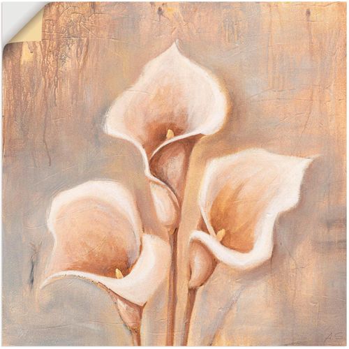 4057738181514 - Wandbild ARTLAND Antike Blüten Bilder Gr B H 40 cm x 40 cm Wandaufkleber - Vinyl Blumen 1 St beige (naturfarben) Bild Poster Bilder als Alubild Leinwandbild Wandaufkleber oder in versch Größen 4057738181514 - Wandbild ARTLAND Antike Blüten Bilder Gr B H 40 cm x 40 cm Wandaufkleber - Vinyl Blumen 1 St beige (naturfarben) Bild Poster Bilder als Alubild Leinwandbild Wandaufkleber oder in versch Größen