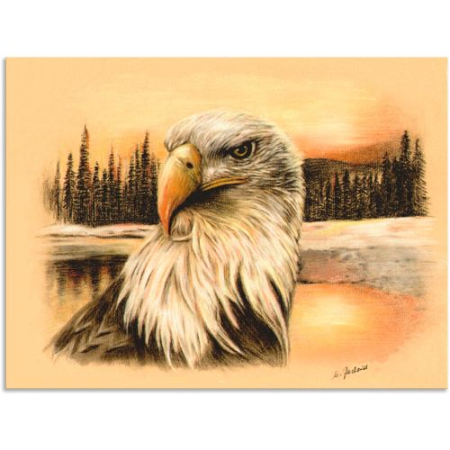 4057738921950 - Wandbild ARTLAND Weißkopfseeadler handgemalt Bilder Gr B H 40 cm x 30 cm Alu-Dibond-Druck Vögel Querformat 1 St bunt Bild Poster Bilder als Alubild Leinwandbild Wandaufkleber oder in versch Größen