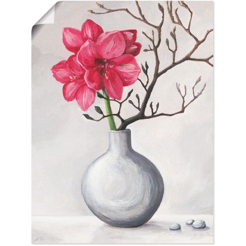 4055327286091 - Wandbild ARTLAND Rote Amaryllis Bilder Gr B H 60 cm x 80 cm Poster Blumen 1 St weiß Bild Leinwandbild Kunstdrucke Bilder als Alubild Leinwandbild Wandaufkleber oder Poster in versch Größen