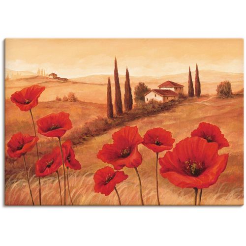 4055327162456 - Wandbild ARTLAND Mohnblumen in der Toskana Bilder Gr B H 100 cm x 70 cm Leinwandbild Europa 1 St braun Bild Poster Bilder als Alubild Leinwandbild Wandaufkleber oder in versch Größen