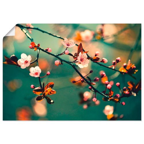 4057738350545 - Wandbild ARTLAND Japanische Kirsch Sakura Blumen Bilder Gr B H 100 cm x 70 cm Poster Blumen Querformat 1 St blau Bild Poster Bilder als Alubild Leinwandbild Wandaufkleber oder in versch Größen