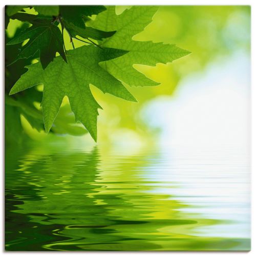 4055327233408 - Wandbild ARTLAND Grüne Blätter reflektieren im Wasser Bilder Gr B H 30 cm x 30 cm Leinwandbild Blätter quadratisch 1 St grün Bild Poster Bilder als Alubild Leinwandbild Wandaufkleber oder in versch Größen