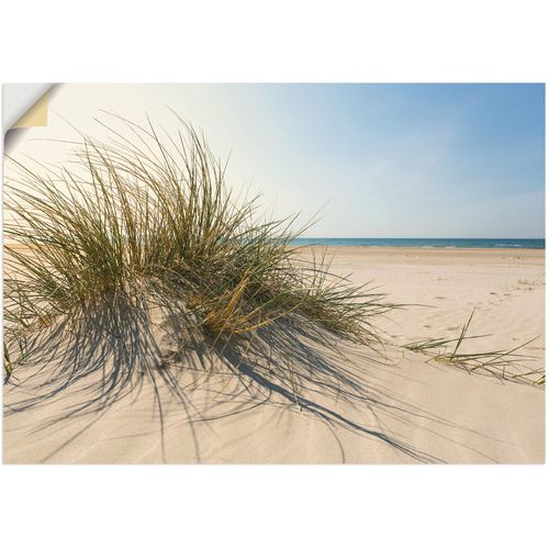 4059745775212 - Wandbild ARTLAND Strandgras Bilder Gr B H 100 cm x 70 cm Wandaufkleber - Vinyl Küste 1 St beige (naturfarben) Bild Leinwandbild Kunstdrucke Bilder als Alubild Leinwandbild Wandaufkleber oder Poster in versch Größen