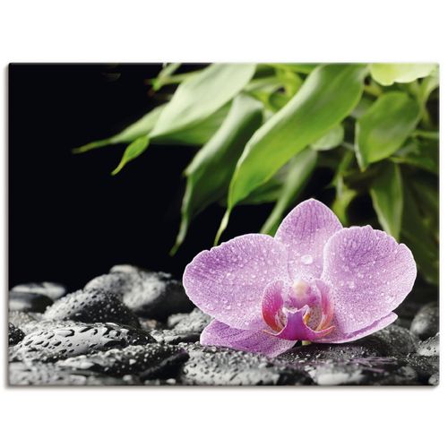 4055327241069 - Wandbild ARTLAND Rosa Orchidee auf schwarzen Zen Steinen Bilder Gr B H 80 cm x 60 cm Leinwandbild Blumen Querformat 1 St pink Bild Poster Bilder als Alubild Leinwandbild Wandaufkleber oder in versch Größen 4055327241069 - Wandbild ARTLAND Rosa Orchidee auf schwarzen Zen Steinen Bilder Gr B H 80 cm x 60 cm Leinwandbild Blumen Querformat 1 St pink Bild Poster Bilder als Alubild Leinwandbild Wandaufkleber oder in versch Größen