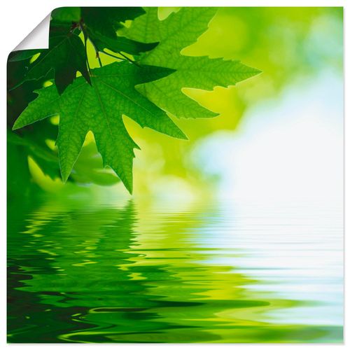 4055327613071 - Wandbild ARTLAND Grüne Blätter reflektieren im Wasser Bilder Gr B H 70 cm x 70 cm Poster Blätter quadratisch 1 St grün Bild Poster Bilder als Alubild Leinwandbild Wandaufkleber oder in versch Größen 4055327613071 - Wandbild ARTLAND Grüne Blätter reflektieren im Wasser Bilder Gr B H 70 cm x 70 cm Poster Blätter quadratisch 1 St grün Bild Poster Bilder als Alubild Leinwandbild Wandaufkleber oder in versch Größen