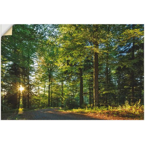 4062144633830 - Wandbild ARTLAND Waldweg im Romantischen Schwarzwald Bilder Gr B H 60 cm x 40 cm Wandaufkleber - Vinyl Waldbilder Querformat 1 St grün Kunstdrucke als Alubild Leinwandbild Wandaufkleber oder Poster in versch Größen 4062144633830 - Wandbild ARTLAND Waldweg im Romantischen Schwarzwald Bilder Gr B H 60 cm x 40 cm Wandaufkleber - Vinyl Waldbilder Querformat 1 St grün Kunstdrucke als Alubild Leinwandbild Wandaufkleber oder Poster in versch Größen