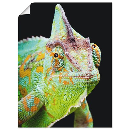4055327640015 - Wandbild ARTLAND Yemen Chamäleon Bilder Gr B H 30 cm x 40 cm Poster Reptilien Hochformat 1 St schwarz Bild Metallbild Metallbilder Bilder als Alubild Leinwandbild Wandaufkleber oder Poster in versch Größen 4055327640015 - Wandbild ARTLAND Yemen Chamäleon Bilder Gr B H 30 cm x 40 cm Poster Reptilien Hochformat 1 St schwarz Bild Metallbild Metallbilder Bilder als Alubild Leinwandbild Wandaufkleber oder Poster in versch Größen