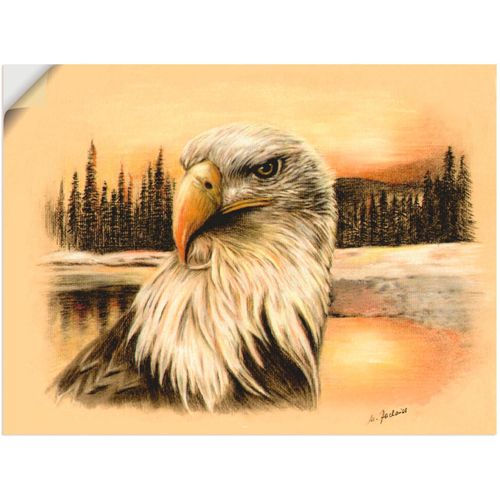 4057738922018 - Wandbild ARTLAND Weißkopfseeadler handgemalt Bilder Gr B H 80 cm x 60 cm Wandaufkleber - Vinyl Vögel Querformat 1 St bunt Bild Poster Bilder als Alubild Leinwandbild Wandaufkleber oder in versch Größen