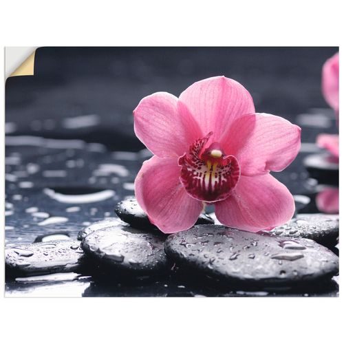 4057738286141 - Wandbild ARTLAND Stillleben mit Kiesel und einer Orchidee Bilder Gr B H 60 cm x 45 cm Wandaufkleber - Vinyl Blumen Querformat 1 St pink Bild Poster Bilder als Alubild Leinwandbild Wandaufkleber oder in versch Größen