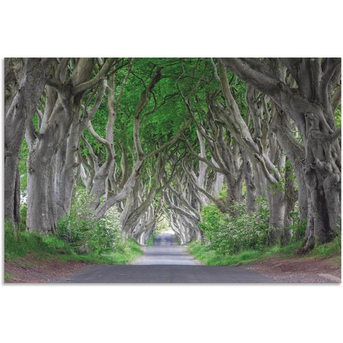 4062144626887 - Wandbild ARTLAND Straße durch den Zauberwald Bilder Gr B H 60 cm x 40 cm Alu-Dibond-Druck Waldbilder Querformat 1 St grün Kunstdrucke als Alubild Leinwandbild Wandaufkleber oder Poster in versch Größen