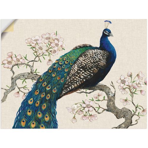 4058661322098 - Wandbild ARTLAND Pfau & Blüten I Bilder Gr B H 120 cm x 90 cm Wandaufkleber - Vinyl Vögel Querformat 1 St beige (naturfarben) Bild Poster Bilder als Alubild Leinwandbild Wandaufkleber oder in versch Größen