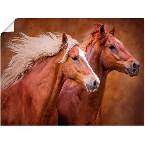 4058661410306 - Wandbild ARTLAND Reinrassige Pferde I Bilder Gr B H 40 cm x 30 cm Poster Haustiere Querformat 1 St braun Bild Poster Bilder als Alubild Leinwandbild Wandaufkleber oder in versch Größen