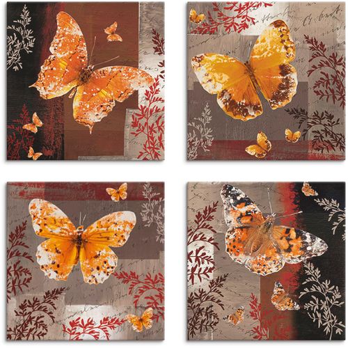 4062144357699 - Leinwandbild ARTLAND Schmetterling 1-4 Bilder Gr B H 30 cm x 30 cm Leinwandbild Insekten quadratisch 4 St braun Bild Leinwandbild Leinwandbilder Bilder 4er Set verschiedene Größen