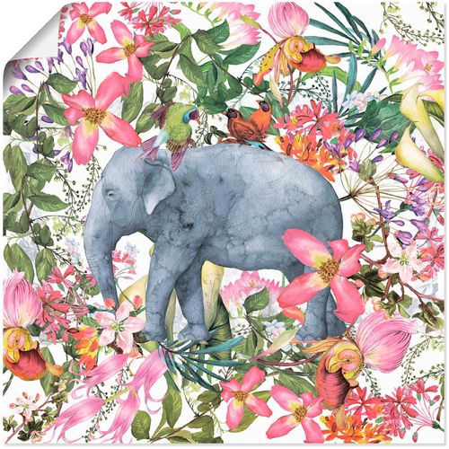 4062144082935 - Wandbild ARTLAND Elefant im Blüten Dschungel Bilder Gr B H 40 cm x 40 cm Poster Wildtiere 1 St pink Bild Kunstdruck Kunstdrucke Bilder als Alubild Leinwandbild Wandaufkleber oder Poster in versch Größen 4062144082935 - Wandbild ARTLAND Elefant im Blüten Dschungel Bilder Gr B H 40 cm x 40 cm Poster Wildtiere 1 St pink Bild Kunstdruck Kunstdrucke Bilder als Alubild Leinwandbild Wandaufkleber oder Poster in versch Größen