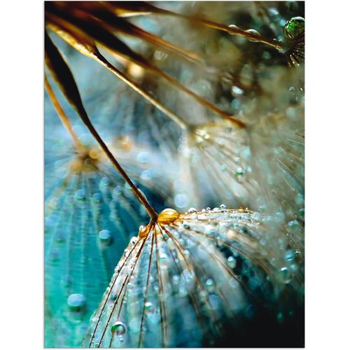 4058661963994 - Wandbild ARTLAND Pusteblume Mystische Schönheit Bilder Gr B H 30 cm x 40 cm Alu-Dibond-Druck Blumen 1 St blau Bild Kunstdruck Metallbild Metallbilder Bilder als Alubild Leinwandbild Wandaufkleber oder Poster in versch Größen 4058661963994 - Wandbild ARTLAND Pusteblume Mystische Schönheit Bilder Gr B H 30 cm x 40 cm Alu-Dibond-Druck Blumen 1 St blau Bild Kunstdruck Metallbild Metallbilder Bilder als Alubild Leinwandbild Wandaufkleber oder Poster in versch Größen