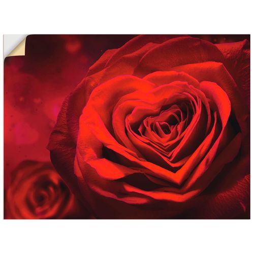 4057738319382 - Wandbild ARTLAND Valentinseinladung mit Herzen und Rosen Bilder Gr B H 60 cm x 45 cm Wandaufkleber - Vinyl Blumen Querformat 1 St rot Bild Leinwandbild Kunstdrucke Bilder als Alubild Leinwandbild Wandaufkleber oder Poster in versch Größen