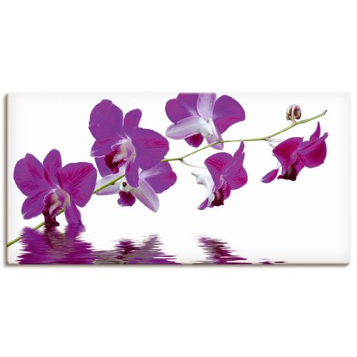 4055327243094 - Wandbild ARTLAND Violette Orchideen Bilder Gr B H 60 cm x 30 cm Leinwandbild Blumen Querformat 1 St lila Bild Poster Bilder als Leinwandbild Wandaufkleber oder in versch Größen 4055327243094 - Wandbild ARTLAND Violette Orchideen Bilder Gr B H 60 cm x 30 cm Leinwandbild Blumen Querformat 1 St lila Bild Poster Bilder als Leinwandbild Wandaufkleber oder in versch Größen