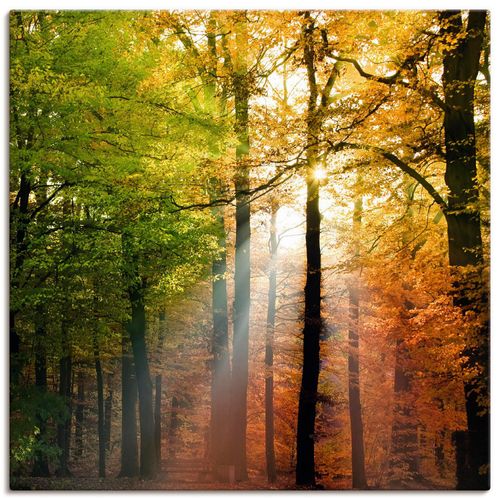 4055327255882 - Wandbild ARTLAND Schöner Herbsttag 2 Bilder Gr B H 50 cm x 50 cm Leinwandbild Wald quadratisch 1 St braun Bild Poster Bilder als Alubild Leinwandbild Wandaufkleber oder in versch Größen