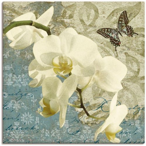 4055327138970 - Wandbild ARTLAND Orchideen Bilder Gr B H 50 cm x 50 cm Leinwandbild Blumen 1 St beige (naturfarben) Bild Poster Bilder als Alubild Leinwandbild Wandaufkleber oder in versch Größen 4055327138970 - Wandbild ARTLAND Orchideen Bilder Gr B H 50 cm x 50 cm Leinwandbild Blumen 1 St beige (naturfarben) Bild Poster Bilder als Alubild Leinwandbild Wandaufkleber oder in versch Größen