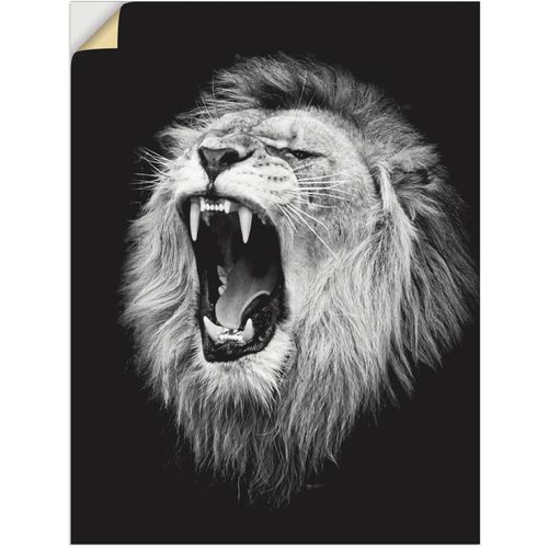 4062144626801 - Wandbild ARTLAND Der Löwe Bilder Gr B H 30 cm x 40 cm Wandaufkleber - Vinyl Wildtiere Hochformat 1 St schwarz Kunstdrucke als Alubild Leinwandbild Wandaufkleber oder Poster in versch Größen