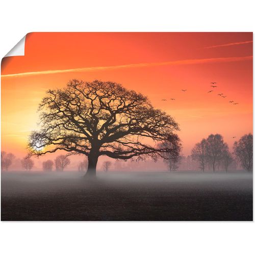 4062144341292 - Wandbild ARTLAND Filigran und mehr Bilder Gr B H 120 cm x 90 cm Poster Bäume 1 St orange Bild Kunstdruck Leinwandbild Kunstdrucke Bilder als Leinwandbild Wandaufkleber oder Poster in versch Größen