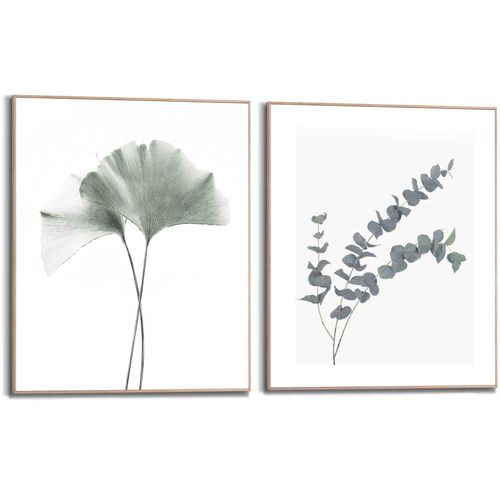 8714597612608 - Bild mit Rahmen REINDERS Eukalyptus blatt Pflanze Bilder Gr B H 40 cm x 50 cm Blätter 2 St grün Bilder mit Rahmen Ginko - Naturmotiv Botanisch 8714597612608 - Bild mit Rahmen REINDERS Eukalyptus blatt Pflanze Bilder Gr B H 40 cm x 50 cm Blätter 2 St grün Bilder mit Rahmen Ginko - Naturmotiv Botanisch
