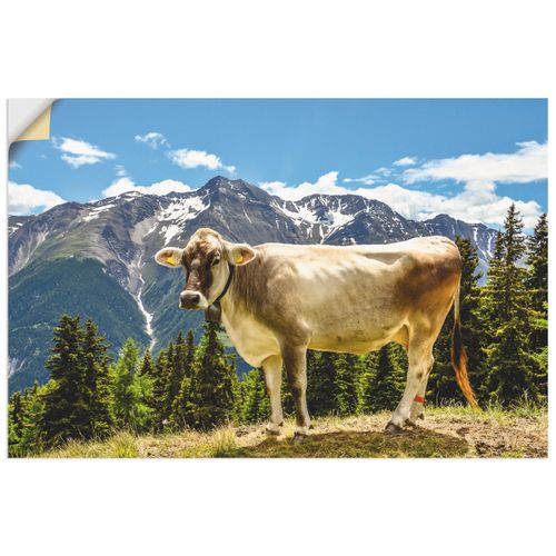 4059745553889 - Wandbild ARTLAND Bergkuh in den Alpen im Sommer Bilder Gr B H 90 cm x 60 cm Wandaufkleber - Vinyl Haustiere Querformat 1 St grün Bild Poster Bilder als Alubild Leinwandbild Wandaufkleber oder in versch Größen