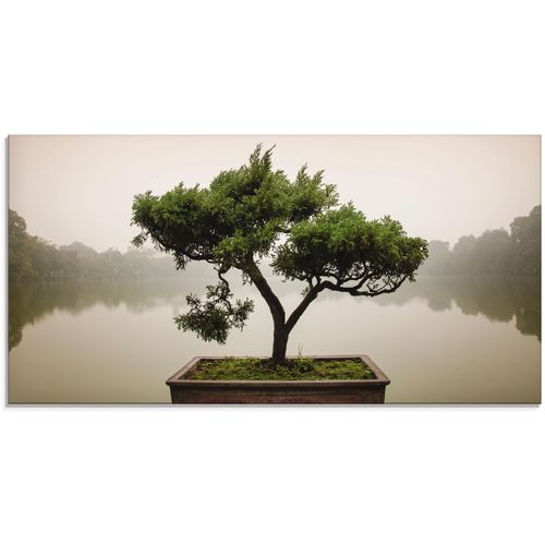 4058661450845 - Glasbild ARTLAND Chinesischer Bonsaibaum Bilder Gr B H 100 cm x 50 cm Glasbild Bäume 1 St grün Glasbilder in verschiedenen Größen 4058661450845 - Glasbild ARTLAND Chinesischer Bonsaibaum Bilder Gr B H 100 cm x 50 cm Glasbild Bäume 1 St grün Glasbilder in verschiedenen Größen