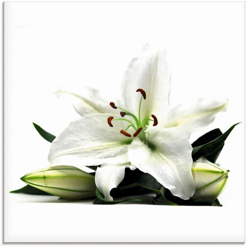 4058661627667 - Glasbild ARTLAND Große Lilie Bilder Gr B H 20 cm x 20 cm Blumen 1 St weiß Glasbilder Bilder in verschiedenen Größen 4058661627667 - Glasbild ARTLAND Große Lilie Bilder Gr B H 20 cm x 20 cm Blumen 1 St weiß Glasbilder Bilder in verschiedenen Größen