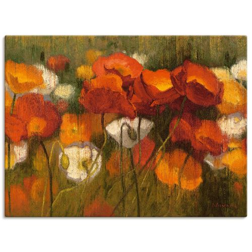 4055327744164 - Wandbild ARTLAND Das starke Rot II Bilder Gr B H 60 cm x 45 cm Leinwandbild Blumenwiese Querformat 1 St orange Bild Poster Bilder als Leinwandbild Wandaufkleber oder in versch Größen
