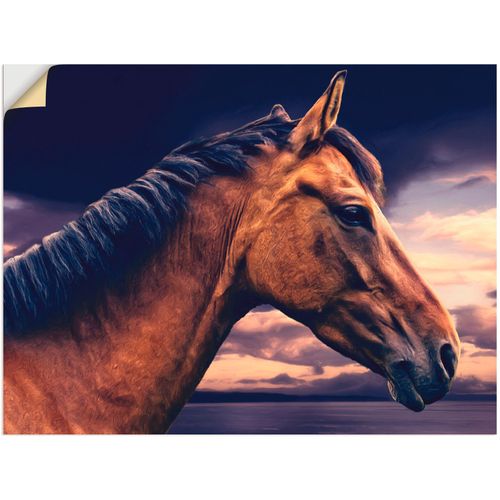4057738717034 - Wandbild ARTLAND Pferd am Meer Bilder Gr B H 80 cm x 60 cm Wandaufkleber - Vinyl Haustiere 1 St braun Kunstdrucke Bilder als Leinwandbild Wandaufkleber oder Poster in versch Größen