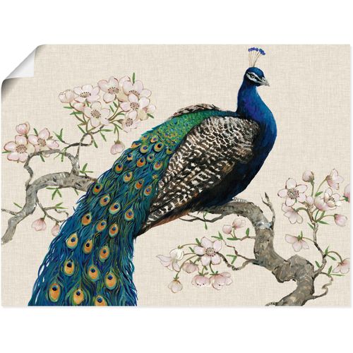 4058661322166 - Wandbild ARTLAND Pfau & Blüten I Bilder Gr B H 80 cm x 60 cm Poster Vögel Querformat 1 St beige (naturfarben) Bild Poster Bilder als Alubild Leinwandbild Wandaufkleber oder in versch Größen