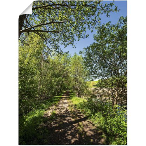 4062144676660 - Wandbild ARTLAND Weg und Bäume bei Kuchelmiß Bilder Gr B H 30 cm x 40 cm Poster Waldbilder Hochformat 1 St grün Kunstdrucke als Alubild Leinwandbild Wandaufkleber oder Poster in versch Größen
