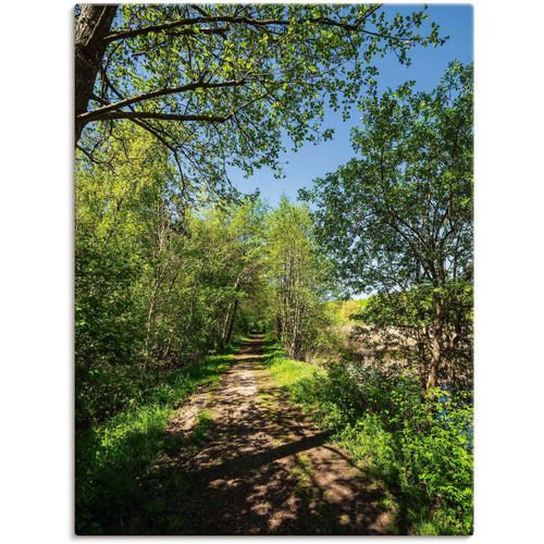 4062144676608 - Wandbild ARTLAND Weg und Bäume bei Kuchelmiß Bilder Gr B H 45 cm x 60 cm Leinwandbild Waldbilder Hochformat 1 St grün Kunstdrucke als Alubild Leinwandbild Wandaufkleber oder Poster in versch Größen