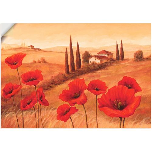 4057738267881 - Wandbild ARTLAND Mohnblumen in der Toskana Bilder Gr B H 100 cm x 70 cm Wandaufkleber - Vinyl Europa 1 St braun Bild Poster Bilder als Alubild Leinwandbild Wandaufkleber oder in versch Größen