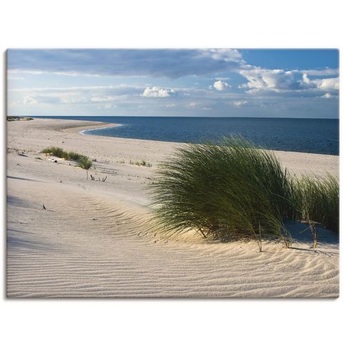 4055327238687 - Wandbild ARTLAND Gras am Strand Bilder Gr B H 40 cm x 30 cm Leinwandbild Strand Querformat 1 St beige (naturfarben) Bild Metallbild Metallbilder Bilder als Alubild Leinwandbild Wandaufkleber oder Poster in versch Größen