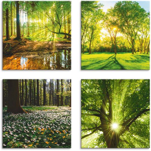 4058661124593 - Leinwandbild ARTLAND Wald Bach Frühling Windrosen Sonne Baum Bilder Gr B H 40 cm x 40 cm Leinwandbild Wald quadratisch 4 St grün Bild Leinwandbild Leinwandbilder Bilder 4er Set verschiedene Größen
