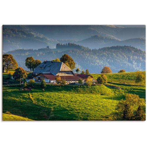 4062144633595 - Wandbild ARTLAND Bauernhof bei StPeter Schwarzwald Bilder Gr B H 30 cm x 20 cm Leinwandbild Berge & Alpenbilder Querformat 1 St grün Kunstdrucke als Alubild Leinwandbild Wandaufkleber oder Poster in versch Größen