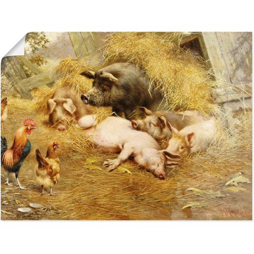 4055327549646 - Wandbild ARTLAND Glückliches Tierleben Bilder Gr B H 40 cm x 30 cm Poster Haustiere 1 St bunt Kunstdrucke als Leinwandbild Wandaufkleber oder Poster in versch Größen