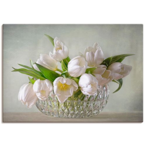 4059745054324 - Wandbild ARTLAND Weiße Tulpen Bilder Gr B H 30 cm x 20 cm Leinwandbild Blumen Querformat 1 St grün Bild Poster Bilder als Alubild Leinwandbild Wandaufkleber oder in versch Größen 4059745054324 - Wandbild ARTLAND Weiße Tulpen Bilder Gr B H 30 cm x 20 cm Leinwandbild Blumen Querformat 1 St grün Bild Poster Bilder als Alubild Leinwandbild Wandaufkleber oder in versch Größen