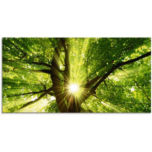 4058661636461 - Glasbild ARTLAND Sonne strahlt explosiv durch den Baum Bilder Gr B H 100 cm x 50 cm Glasbild Bäume 1 St grün Glasbilder in verschiedenen Größen