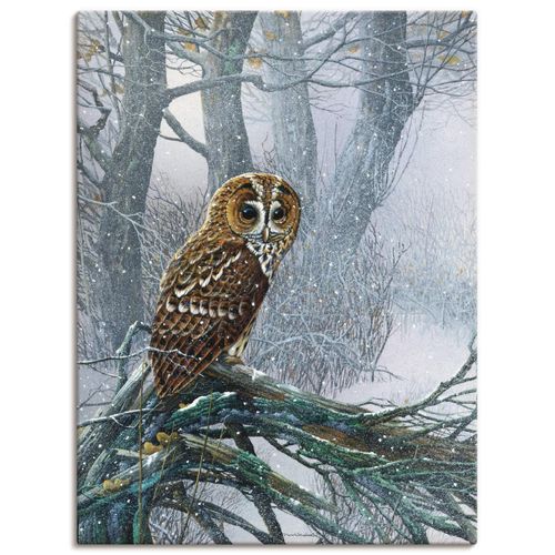 4055327459075 - Wandbild ARTLAND Eule in verschneitem Wald Bilder Gr B H 45 cm x 60 cm Leinwandbild Vögel Hochformat 1 St braun Bild Leinwandbild Kunstdrucke Bilder als Leinwandbild Wandaufkleber oder Poster in versch Größen