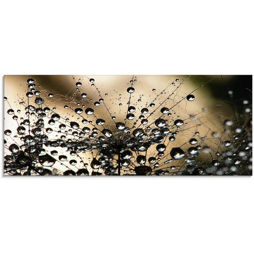 4058661011404 - Glasbild ARTLAND Nasser Löwenzahn Bilder Gr B H 125 cm x 50 cm Glasbild Blumen 1 St schwarz Glasbilder in verschiedenen Größen