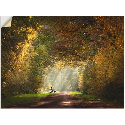 4057738560326 - Wandbild ARTLAND Licht am Ende des Tunnels Bilder Gr B H 80 cm x 60 cm Wandaufkleber - Vinyl Wald 1 St grün Bild Kunstdruck Leinwandbild Kunstdrucke Bilder als Leinwandbild Wandaufkleber oder Poster in versch Größen
