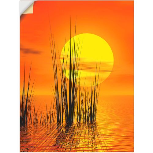 4057738804062 - Wandbild ARTLAND Sonnenuntergang mit Schilf Bilder Gr B H 60 cm x 80 cm Wandaufkleber - Vinyl Sonnenaufgang & -untergang 1 St orange Bild Kunstdruck Kunstdrucke Bilder als Leinwandbild Wandaufkleber oder Poster in versch Größen