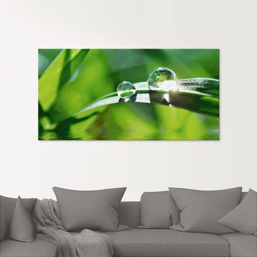 4057738341970 - Glasbild ARTLAND Grüner Hintergrund mit Gras Bilder Gr B H 40 cm x 40 cm Gräser 1 St grün Glasbilder Bilder in verschiedenen Größen 4057738341970 - Glasbild ARTLAND Grüner Hintergrund mit Gras Bilder Gr B H 40 cm x 40 cm Gräser 1 St grün Glasbilder Bilder in verschiedenen Größen