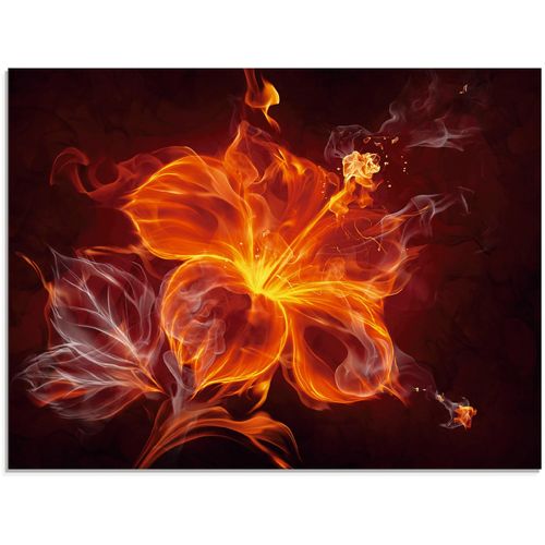 4058661634931 - Glasbild ARTLAND Feuerblume Bilder Gr B H 80 cm x 60 cm Glasbild Blumen 1 St rot Glasbilder in verschiedenen Größen