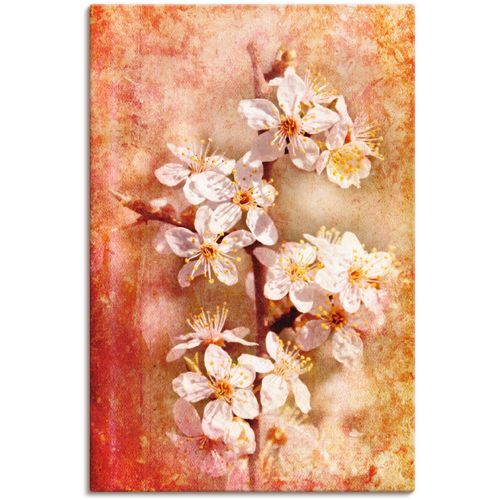 4057738962786 - Wandbild ARTLAND Kirschblüten Bilder Gr B H 40 cm x 60 cm Leinwandbild Blumen 1 St orange Kunstdrucke Bilder als Alubild Leinwandbild Wandaufkleber oder Poster in versch Größen